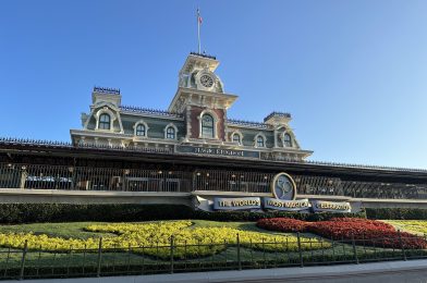 PHOTO REPORT: Magic Kingdom 9/22/22 (New Green Corduroy Minnie Ears, Sketchbook Ornaments, ‘Coco’ Housewares, & More)