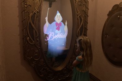 Bibbidi Bobbidi Boutique at Walt Disney World- A Steal of a Deal!