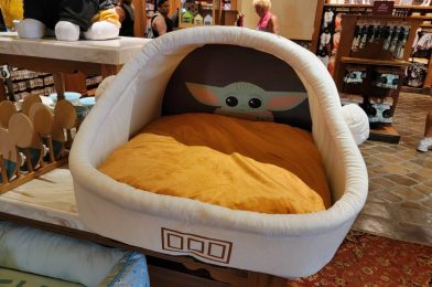 New Grogu Pet Bed From Disneyland Resort