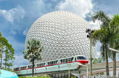 A NEW Restaurant, Returning Nighttime Shows, and More BIG Disney News