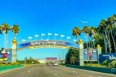 EVERYTHING That’s Coming to the Walt Disney Company UNIVERSE in 2022, 2023, and 2024