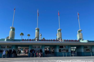 Affordable Bags That Will Last ALL DAY in the Disney Parks Are Online Now