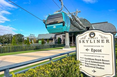 ALERT! The Skyliner Has REOPENED in Disney World