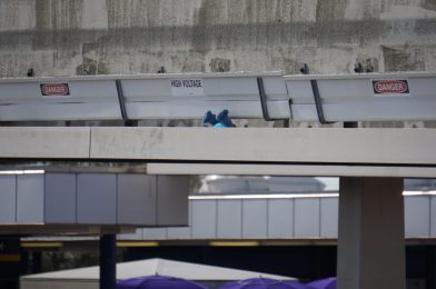 Experiment 626 Is On The Loose Along The Walt Disney World Monorail Beam