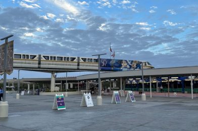 Walt Disney World Monorails Running Slow After Unexpected Downtime