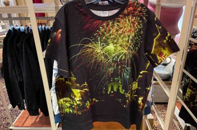 New Vault Collection Fireworks and 25th Anniversary Tee Arrive at Magic Kingdom