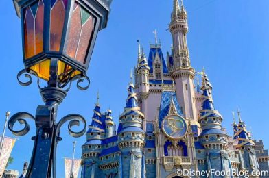 What’s New at Magic Kingdom: A Popular Princess Is Back (With A Twist)