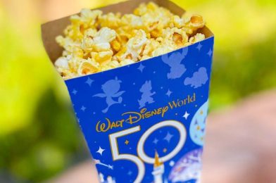 Best Disney Popcorn Buckets OF ALL TIME