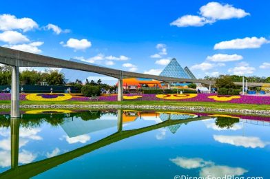 Every Single FOOD BOOTH Coming to the 2023 EPCOT Flower and Garden Festival