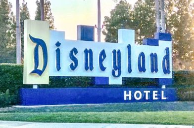 Tour a Disneyland Hotel Room With Us!