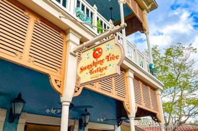 REVIEW: Stop Skipping This Dole Whip Treat in Disney World