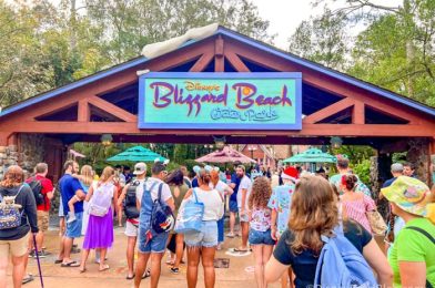 The Best Rides at Blizzard Beach, Ranked