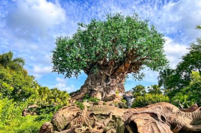 What’s New at Disney’s Animal Kingdom: A Steamboat Willie Loungefly Backpack