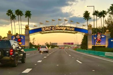 Can You Uber To Disney World? How Much Does It Cost?