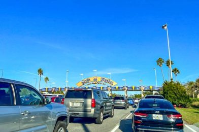 Update on MASSIVE Disney World Road Project