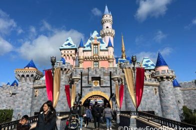 Want To Fly Disney For CHEAP? You’ll Need To Act Fast!