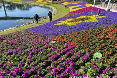 FIRST LOOK at 2023 EPCOT Flower and Garden Festival Merchandise