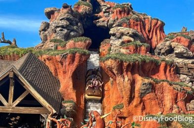 The One Thing That Might Be Different When Splash Mountain Closes in Disneyland