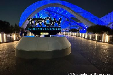 Park Pass UPDATE for TRON Opening Day in Disney World