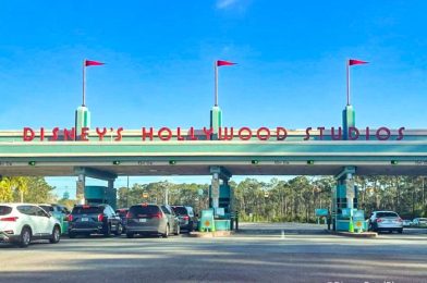 A Popular Coaster Is Now CLOSED for a LONG Refurbishment in Disney World