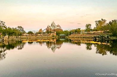 PHOTOS: A Popular Ride Has Reopened EARLY in Disney World!