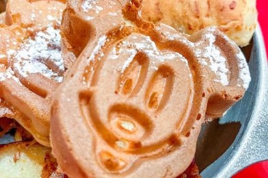 Every Disney World Buffet Ranked From BEST to WORST