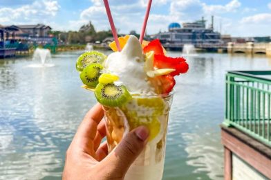 Exposing the BEST and WORST Things We Ate in Disney World in February