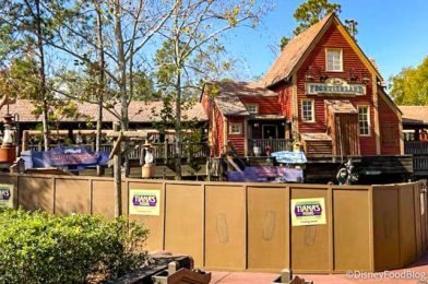 PHOTO: Get a Bird’s Eye View of Tiana’s Bayou Adventure Construction in Disney World