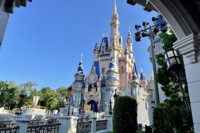 ‘Cast Members Are the Magic’ — A Plea for Walt Disney World to Practice What They Preach