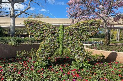 PHOTOS: Select EPCOT International Flower & Garden Festival Topiaries Have Arrived!