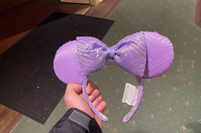 NEW Purple and Yellow Minnie Ear Headbands at Disneyland Resort