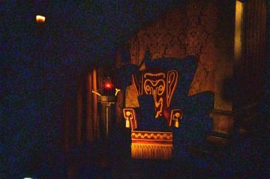 PHOTOS, VIDEO: Imagineers Add Marc Davis’ ‘Bat in a Birdcage’ Gag to Disneyland’s Haunted Mansion Following Refurbishment