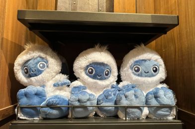 Expedition Everest Yeti Big Feet Plush & Youth T-Shirt Arrive at Walt Disney World