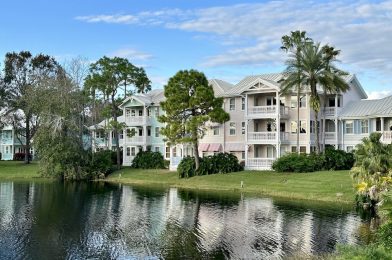 Price of DVC One Time Use Points Rises by 15%