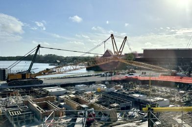 PHOTO REPORT: Magic Kingdom 2/11/23 (Birdhouses Removed at Splash Mountain, Hidden Disney Mystery Pin Pouch, Construction Updates, & More)