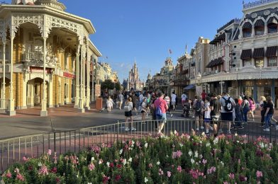 PHOTO REPORT: Magic Kingdom, Disney Springs & EPCOT 2/17/23 (Sonny Eclipse Returns to the Stage at Cosmic Ray’s Starlight Cafe, New Snack Stand Installed Near TRON, Topiaries for Flower & Garden Festival, & More)