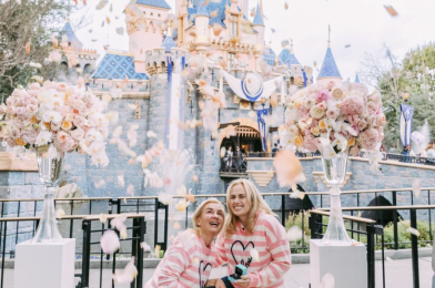 Rebel Wilson Proposes to Her ‘Disney Princess’ at Disneyland