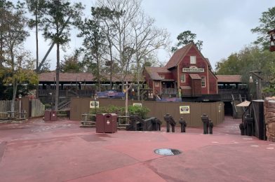 PHOTOS: More Splash Mountain Signage Removed, Demolition Continues on Façade for Tiana’s Bayou Adventure at Magic Kingdom