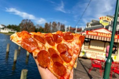 Why March 14th Could Be the BEST Day To Visit Disney Springs