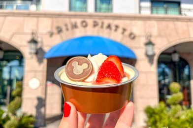 The PROBLEM With These NEW Treats at Disney Springs