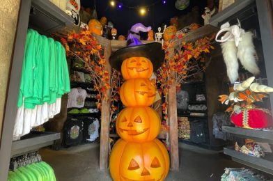 New Classic Halloween Decorations Adorn All Hallows Eve Boutique in Universal’s Islands of Adventure