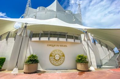 PHOTOS: Flying Guitarist and More NEW Acts Added to Cirque du Soleil in Disney World