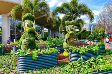 Topiaries of Donald Duck and Friends Arrive for EPCOT International Flower & Garden Festival 2023