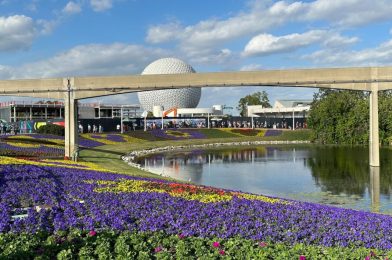 Flower Beds Decorated for 2023 EPCOT International Flower & Garden Festival