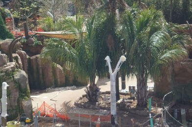 PHOTOS: Posts Installed Near Entrance to Journey of Water Inspired by ‘Moana’ at EPCOT