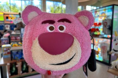 New ‘Toy Story’ Lotso Plush Loungefly Purse at Walt Disney World