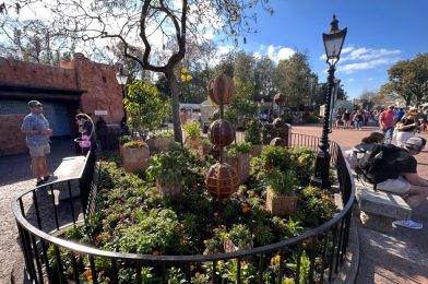 First Global Garden Appears for 2023 EPCOT International Flower & Garden Festival