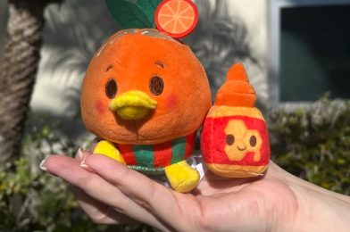 First Look at Orange Bird Sipper & Munchlings Coming to 2023 EPCOT International Flower & Garden Festival