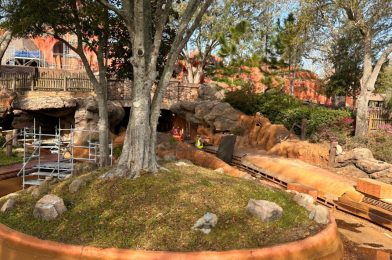 PHOTOS: Crews Removing Grass From Splash Mountain Cliffs for Retheme as Tiana’s Bayou Adventure at Magic Kingdom