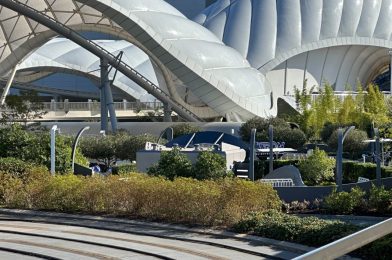 NEW Snack Stand Installed Near TRON in Magic Kingdom – Will It Sell The Light-Up Lightcycle Popcorn Bucket?